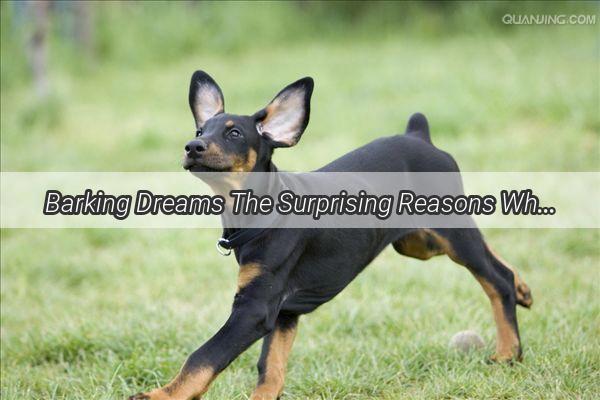 Barking Dreams The Surprising Reasons Why You Shouldnt Sleep with Your Dog